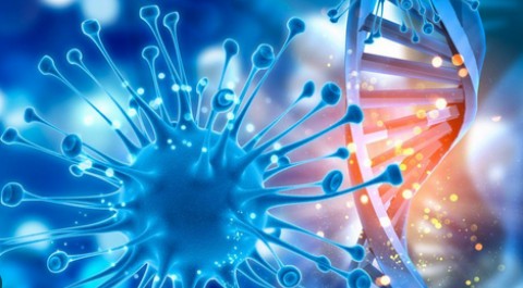 Applied biotechnology and bioinformatics